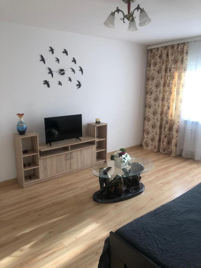 Apartament Kiseleff Drobeta Turnu Severin Buitenkant foto