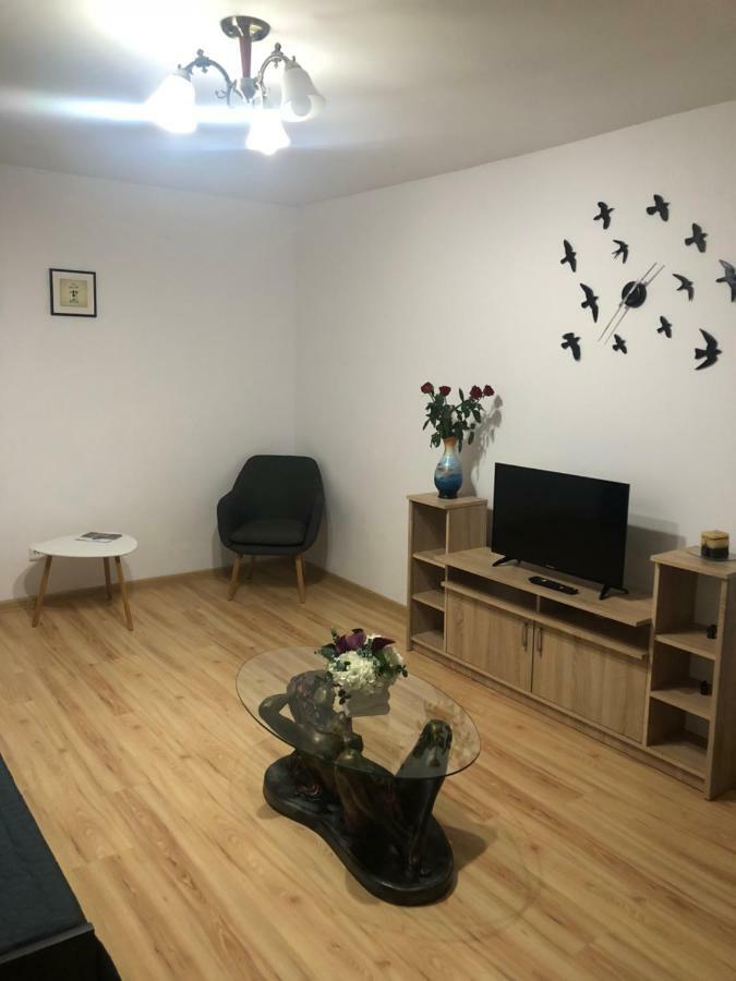 Apartament Kiseleff Drobeta Turnu Severin Buitenkant foto